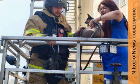 Внаслідок атаки у Павлограді загинули 2 людей, ще 8 постраждали: ДСНС показали фото наслідків ворожої атаки