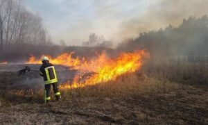 Жителів Дніпропетровщини попередили про високу пожежну небезпеку з 6 по 8 липня 2