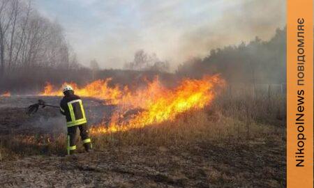 Жителів Дніпропетровщини попередили про високу пожежну небезпеку з 6 по 8 липня 2