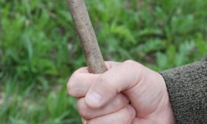 Вдарила сусідку через паркан палицею: у Нікополі судили пенсіонерку