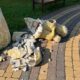 У Нікополі вандали розбили статую матері з дитиною біля дитячої лікарні
