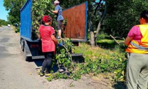 Від ліквідації наслідків обстрілів до косіння трави: у Марганці комунальники підбили підсумки тижня