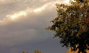 погода у Нікополі 22 липня 