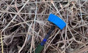 у Нікополі