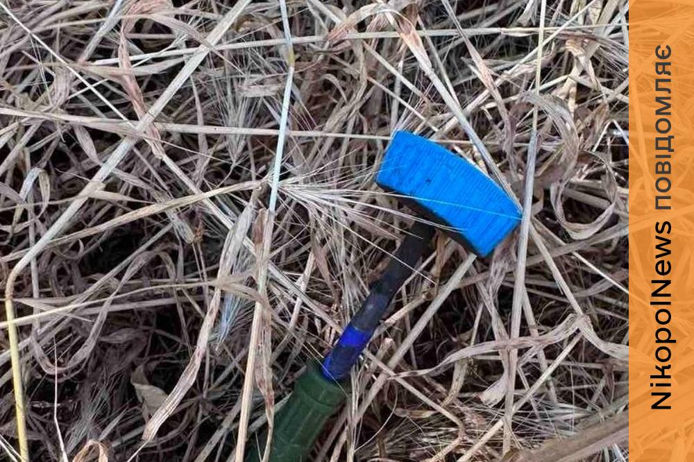 у Нікополі