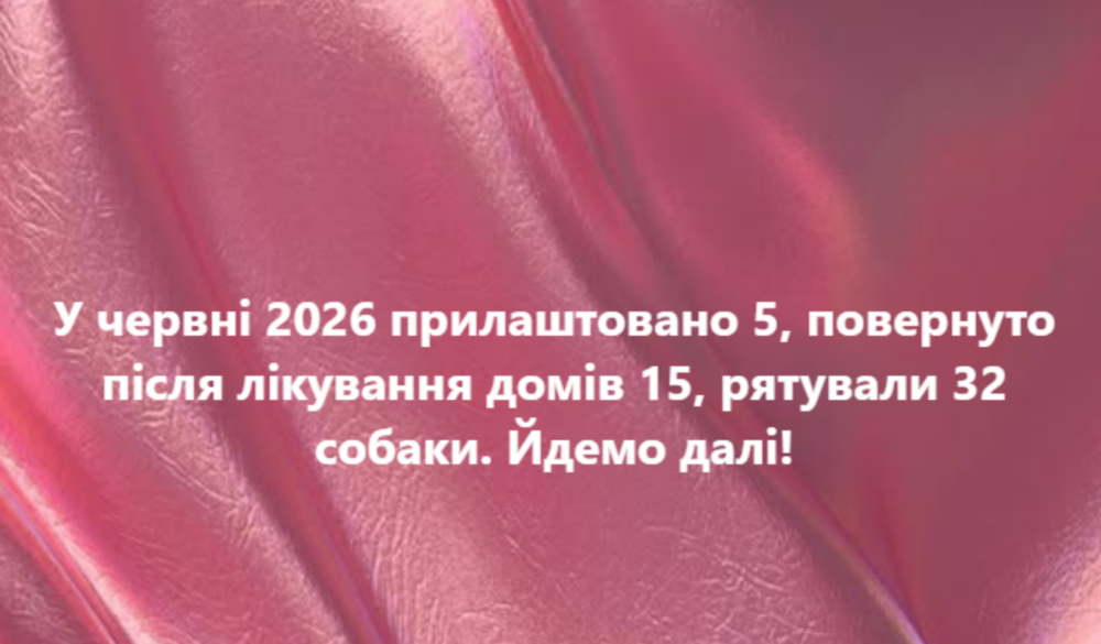 у Нікополі у Нікополі