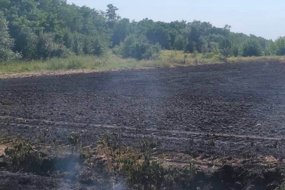 у Нікополі 8 у Нікополі 8
