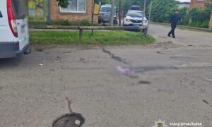 у Нікопольському районі 2