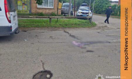 у Нікопольському районі 2