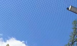 в Нікополі 2