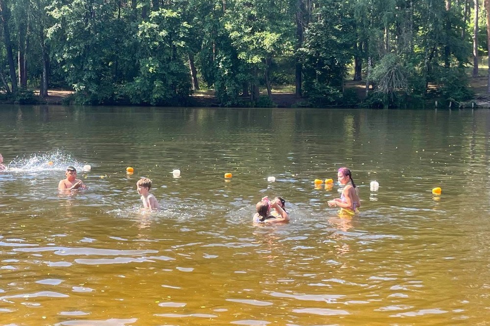 з Нікополя 12 з Нікополя 12