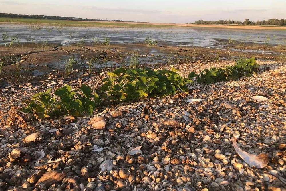 2023 вода аграрії