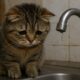 «Не маємо технічної можливості відновити»: про відсутність водопостачання у Марганці – що відомоbea57bd84e60