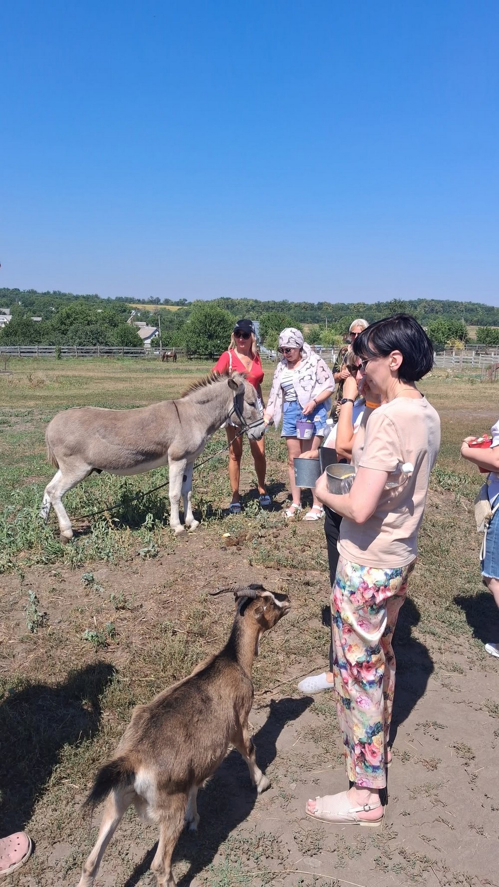 Команда Центру освіти дорослих Нікополя відвідала сироварню «Зелений Гай» (6) Команда Центру освіти дорослих Нікополя відвідала сироварню «Зелений Гай» (6)