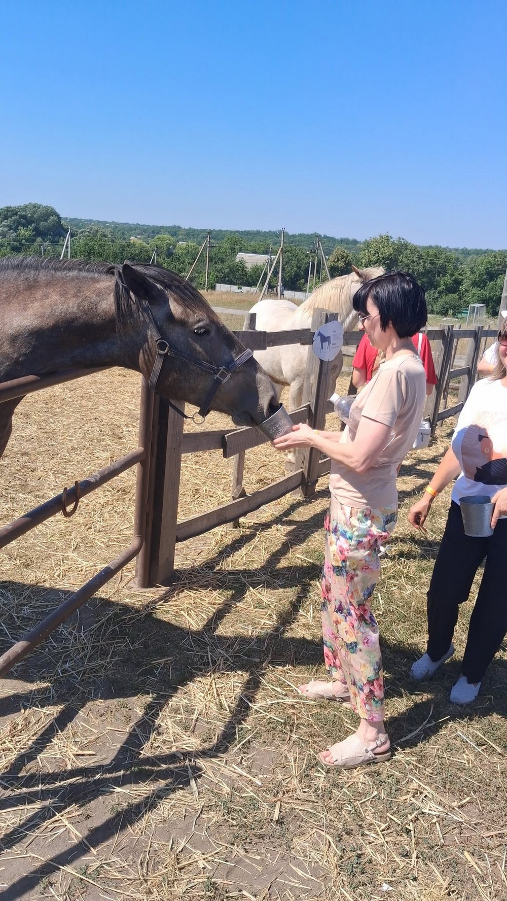 Команда Центру освіти дорослих Нікополя відвідала сироварню «Зелений Гай» (9) Команда Центру освіти дорослих Нікополя відвідала сироварню «Зелений Гай» (9)