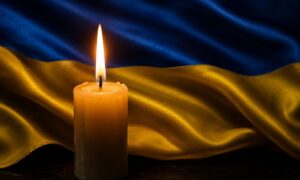 Нікопольщина