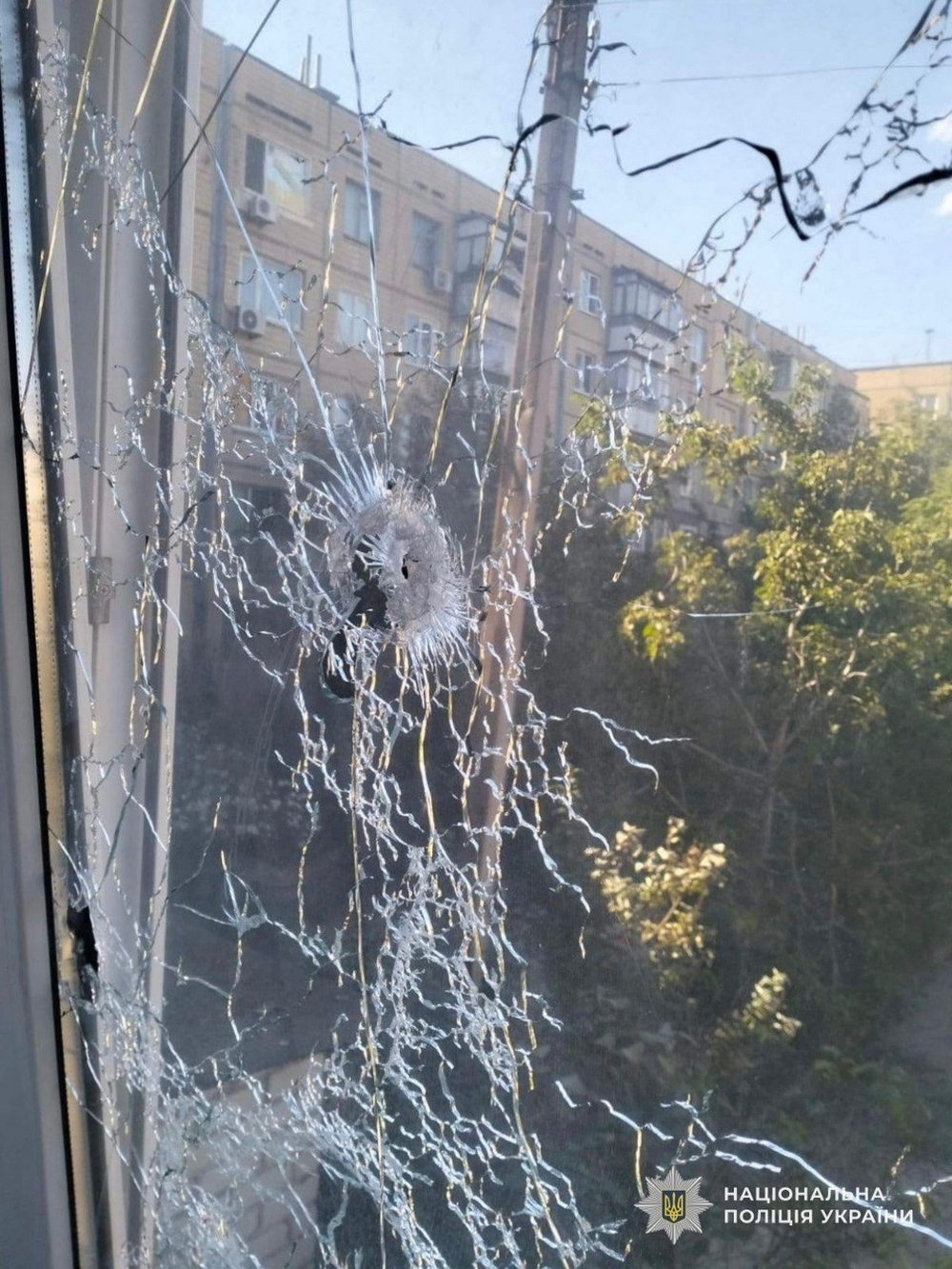 Нікопольщина4