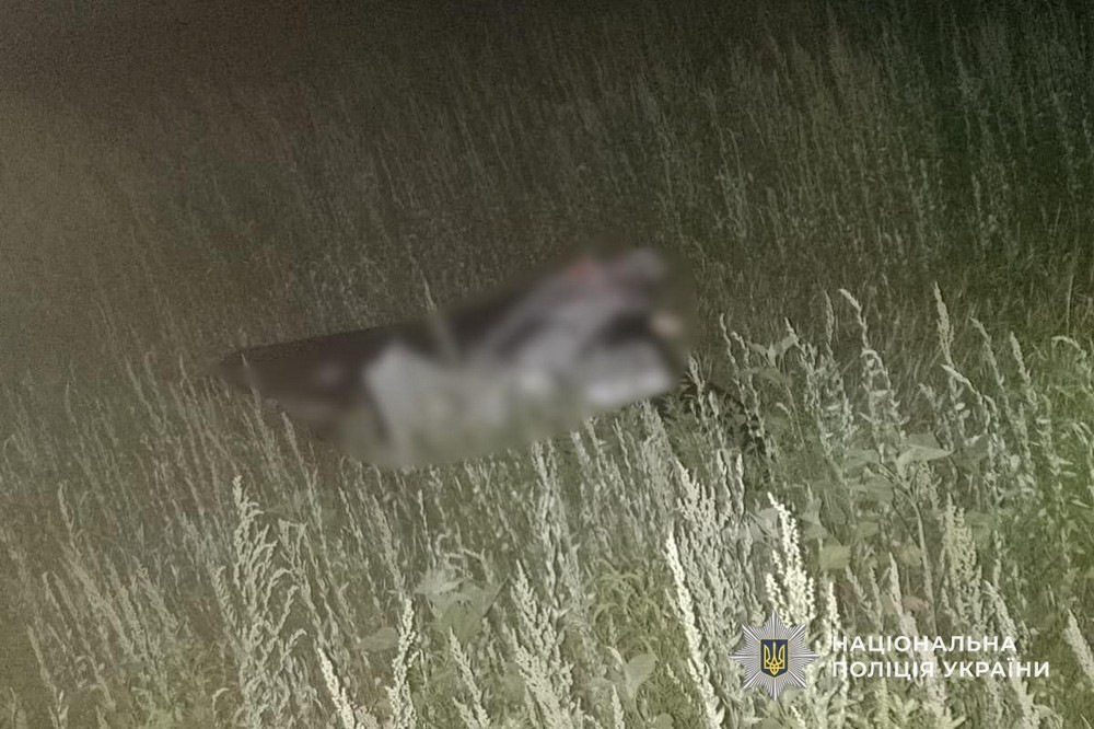 Нікопольщини Нікопольщини