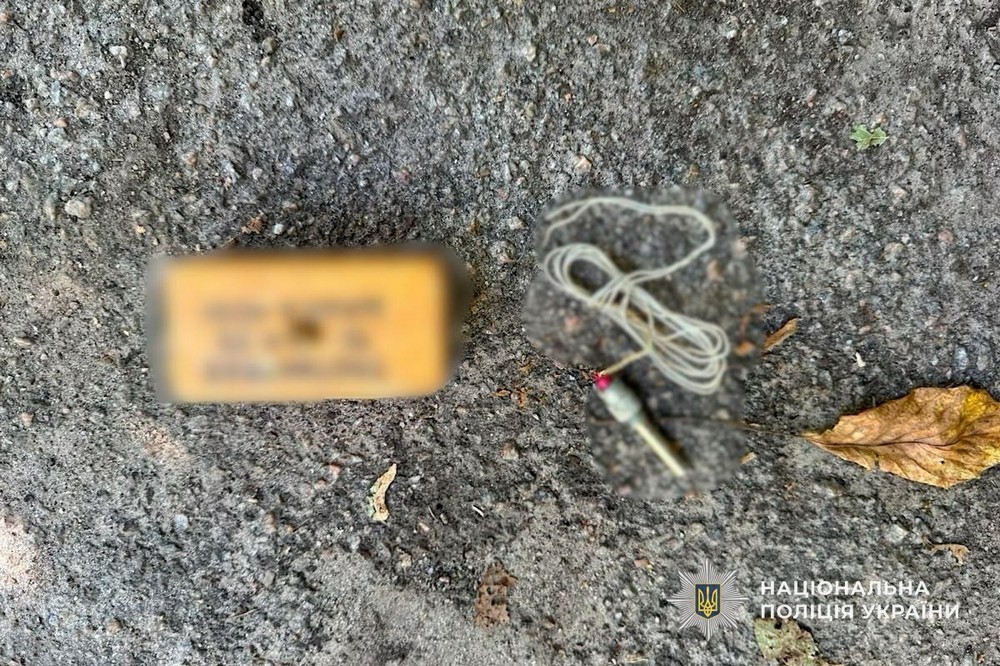 Нікопольщини 2 Нікопольщини 2