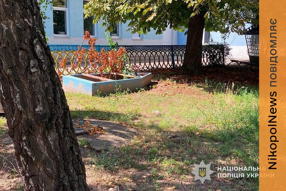 Нікопольщини 4