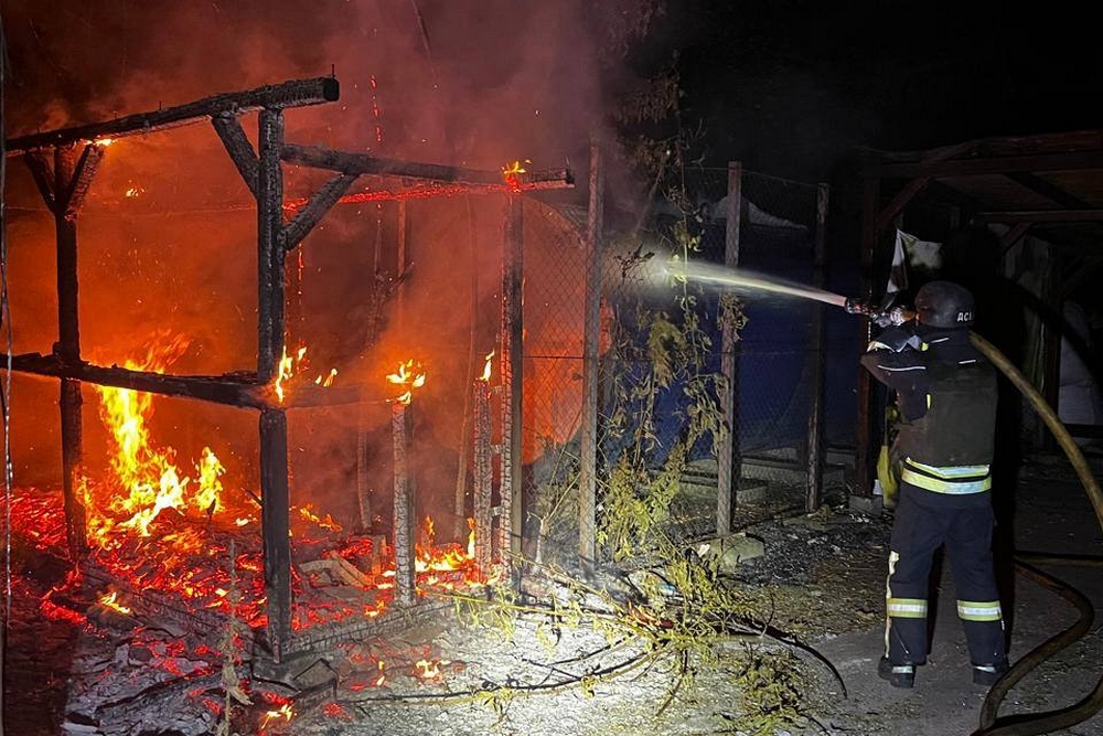 У Нікополі У Нікополі