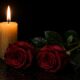 У Нікополі