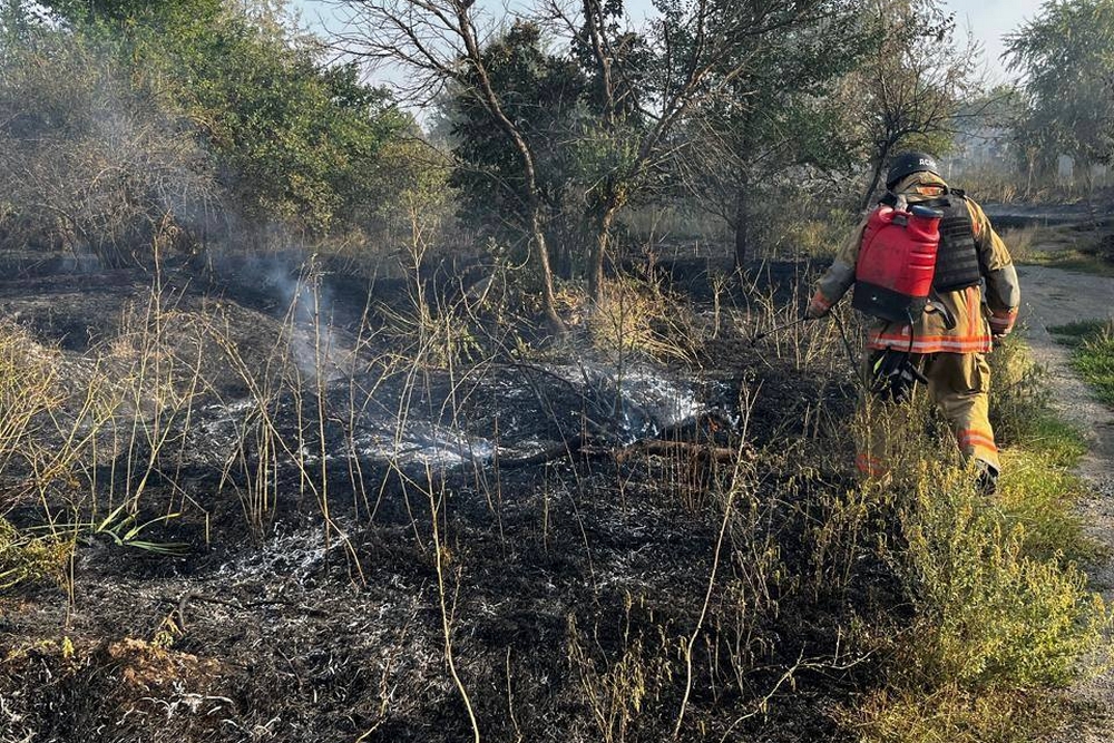 У Нікополі2 У Нікополі2