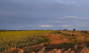 Спекотно і без опадів: якою буде погода у Нікополі 23 серпня