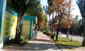 погода у Нікополі 12 серпня