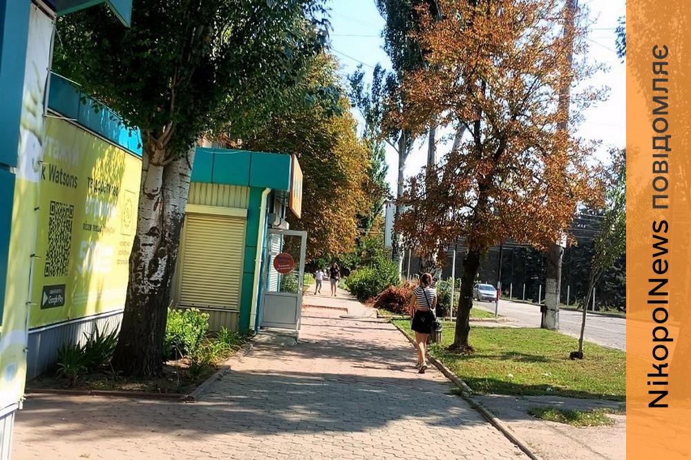погода у Нікополі 12 серпня