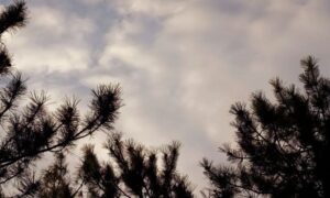 погода у Нікополі