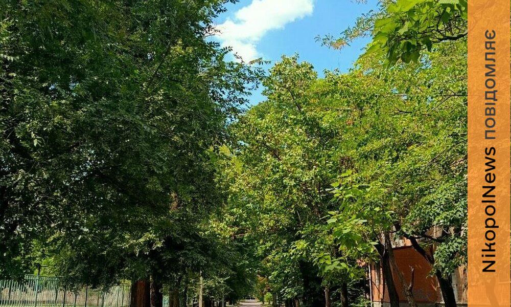 погода у Нікополі