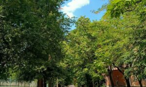 погода у Нікополі