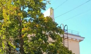 погода у Нікополі 22 серпня