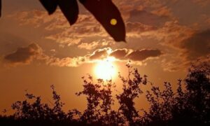 погода у Нікополі