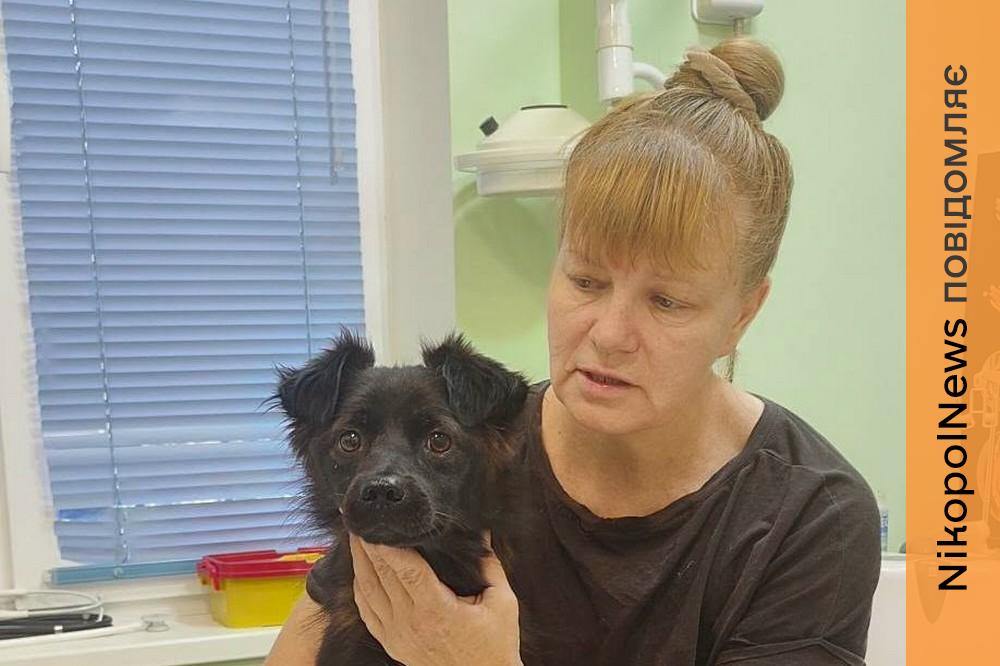 у Нікополі