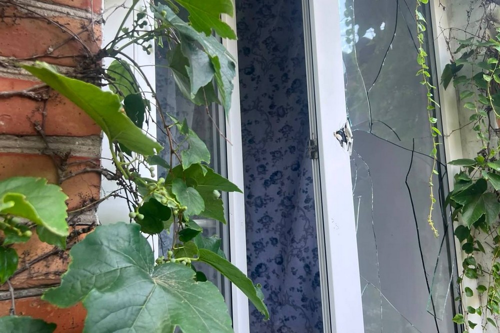 у Нікополі 10