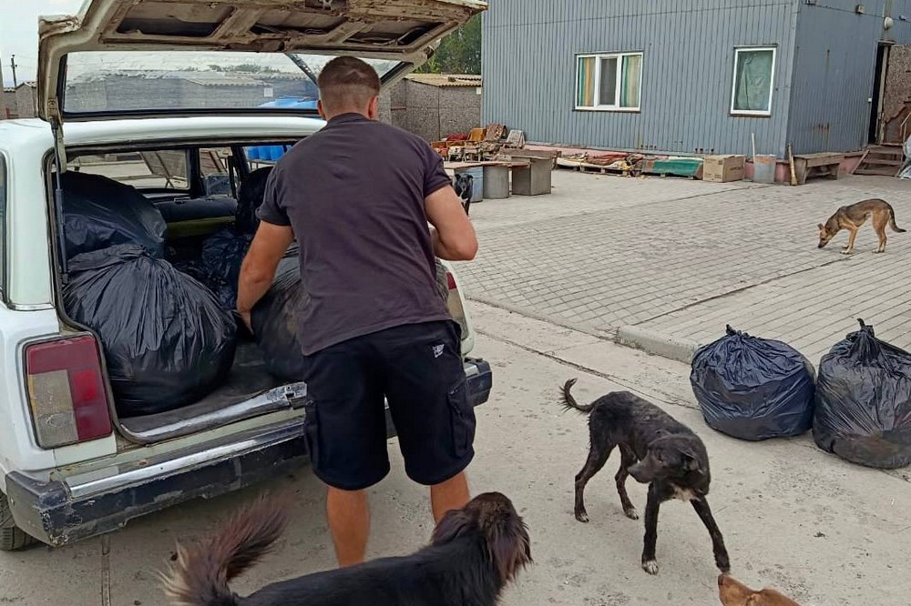 у Нікополі 2 у Нікополі 2
