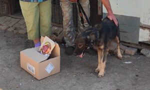Завод знищують щодня, і повертатися нікуди… У Нікополі вдалося знайти родину для пораненого на підприємстві Вуханя