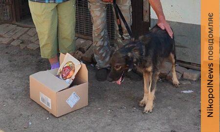Завод знищують щодня, і повертатися нікуди… У Нікополі вдалося знайти родину для пораненого на підприємстві Вуханя