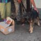 Завод знищують щодня, і повертатися нікуди… У Нікополі вдалося знайти родину для пораненого на підприємстві Вуханя