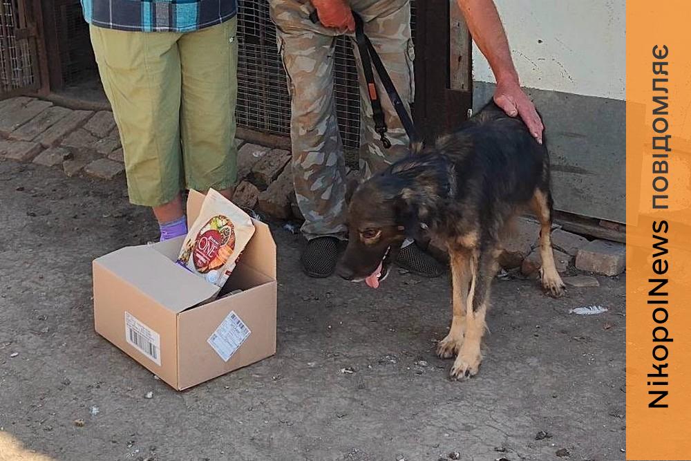 Завод знищують щодня, і повертатися нікуди… У Нікополі вдалося знайти родину для пораненого на підприємстві Вуханя
