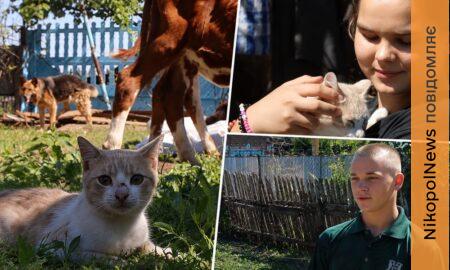 «Корів виводили пішки на світанку… У кожної дитини - свій кіт і своя собака… Забрали всіх». Щемлива історія евакуації багатодітної родини з Нікопольщини (відео)