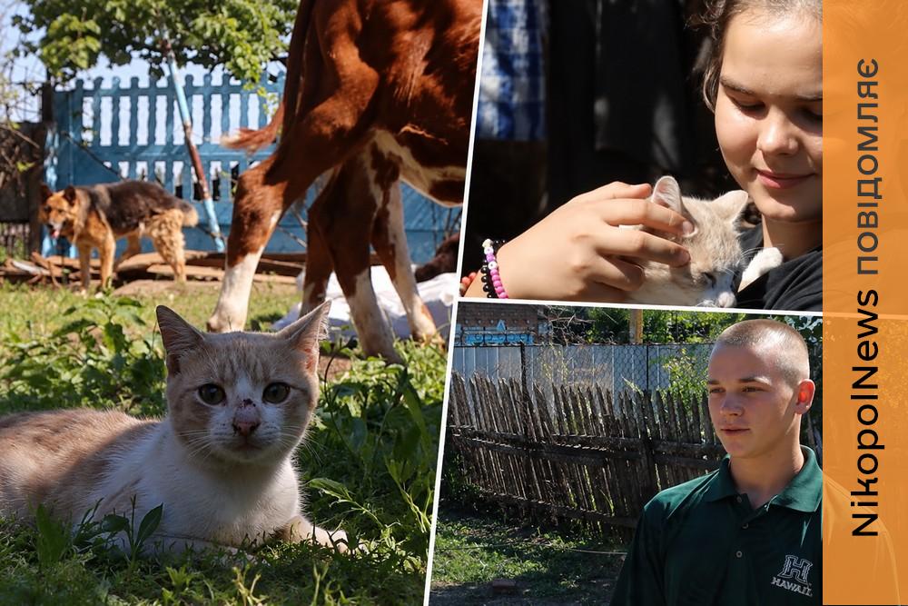 «Корів виводили пішки на світанку… У кожної дитини - свій кіт і своя собака… Забрали всіх». Щемлива історія евакуації багатодітної родини з Нікопольщини (відео)