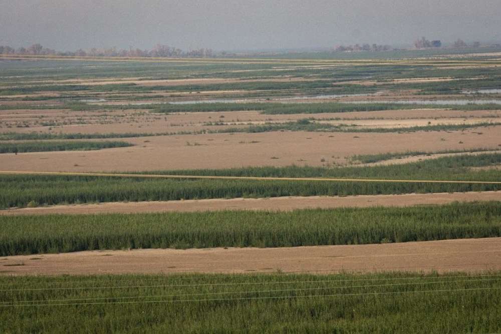 2023 каховське