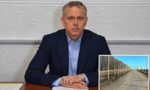 «Будемо розраховувати на те, що буде швидше»: Олександр Саюк про захист доріг біля Нікополя (відео)