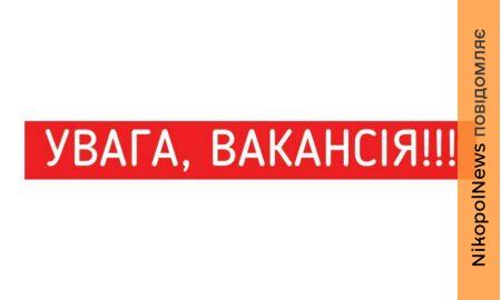 Є вакансія у Покровсько-Нікопольському відділі Державної казначейської служби України