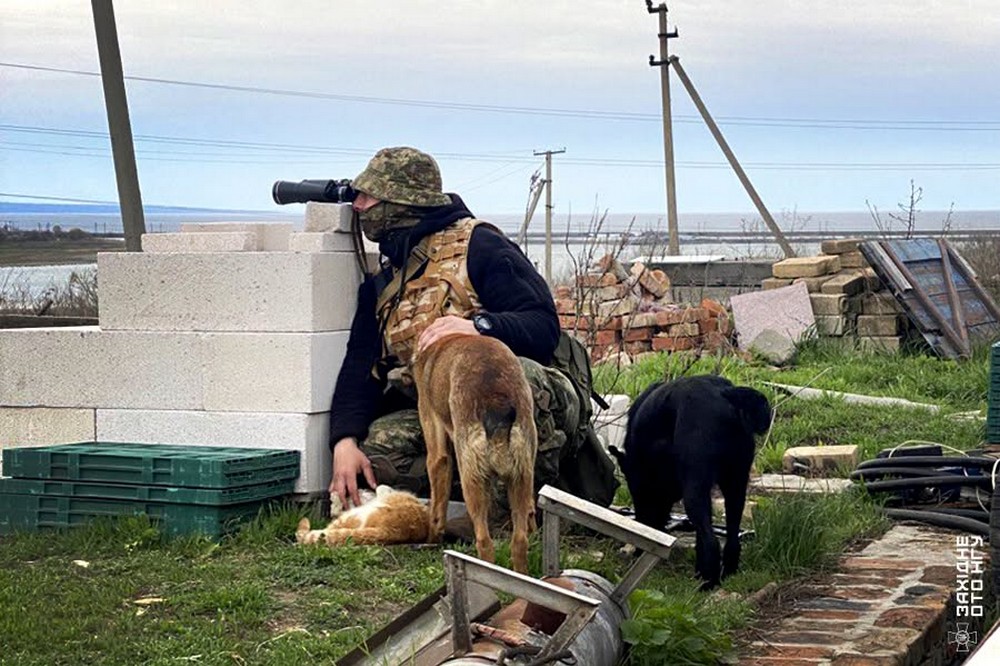 Нікополя Нікополя