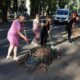 Рукавички, пакети та спільна справа: у Покрові долучилися до Всесвітнього дня прибирання