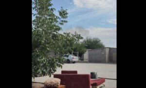 «В будинку загинув Саша, добра душа… Собаки вижили»: страшний обстріл у Нікополі показала волонтерка (відео)